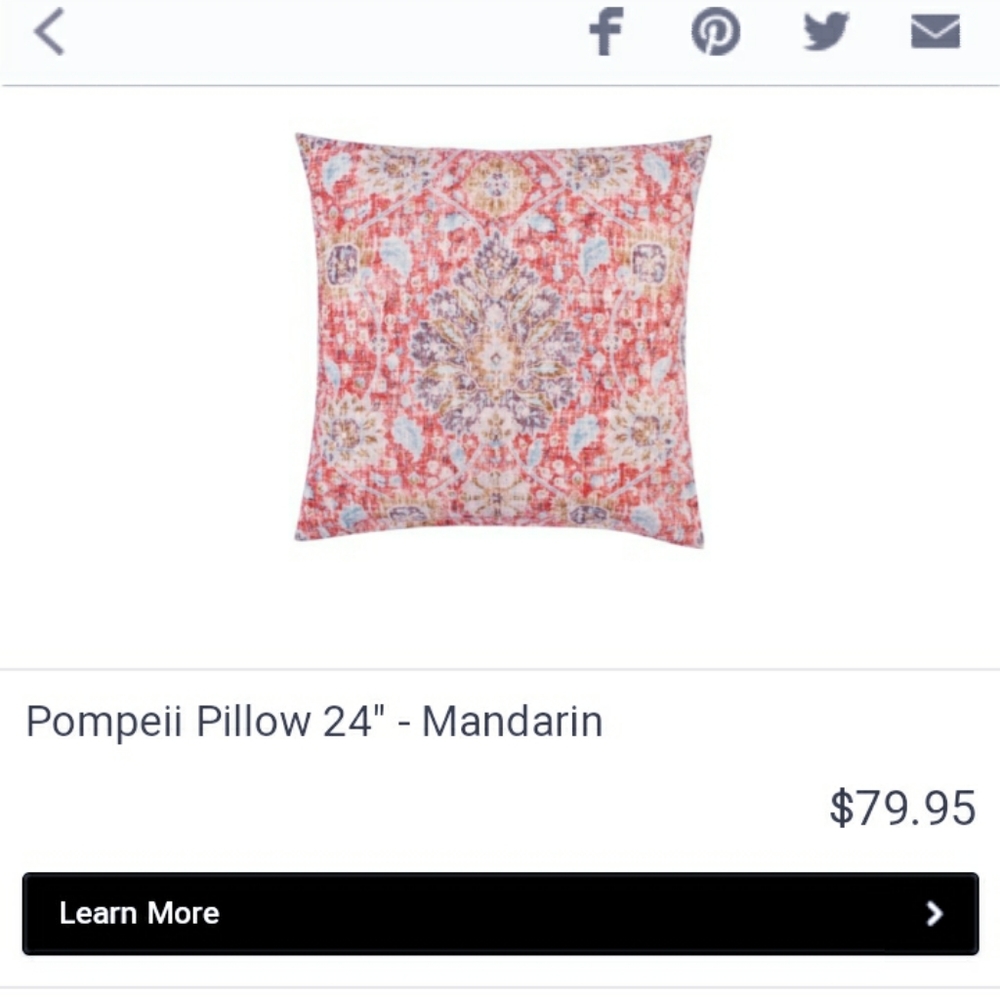Z Gallerie Mulit Color Pillows